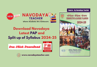 NVS PAP (Perspective Academic Planning) 2024-25