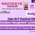 Class 10 IT Practical File on DBMS 2024-25 (Assignment 1)