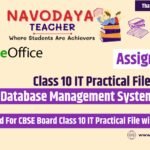 Class 10 IT Practical File on DBMS 2024-25 (Assignment 2)