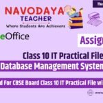 Class 10 IT Practical File on DBMS 2024-25 (Assignment 3)