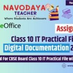 Class 10 IT Practical File on Digital Documentation 2024-25 (Assignment 4)