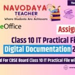 Class 10 IT Practical File on Digital Documentation 2024-25 (Assignment 5)