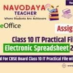 Class 10 IT Practical File on Electronic Spreadsheet 2024-25 (Assignment 1)