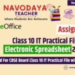 Class 10 IT Practical File on Electronic Spreadsheet 2024-25 (Assignment 2)