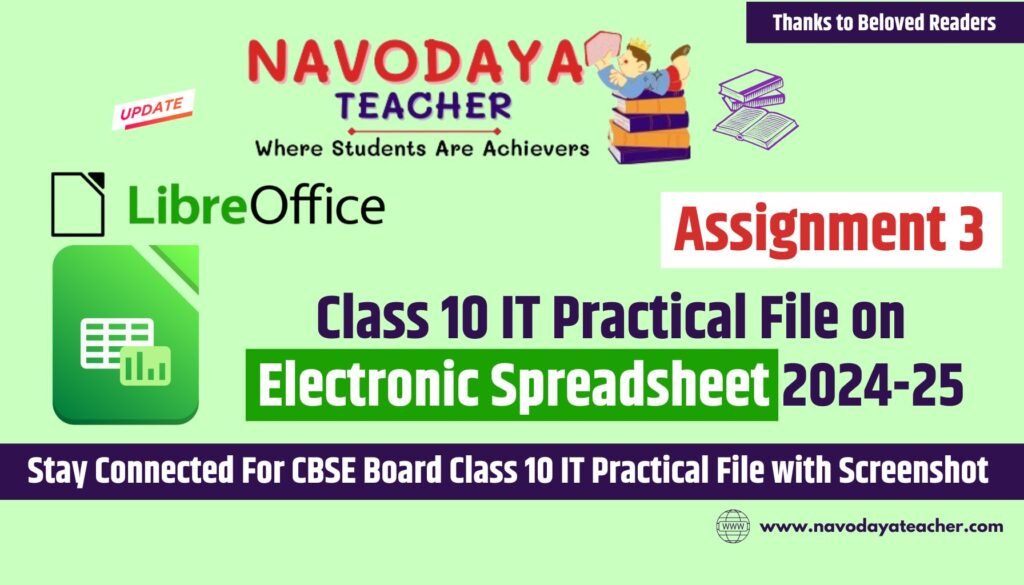 Class 10 IT Practical File on Electronic Spreadsheet 2024-25 (Assignment 3)