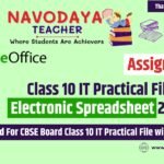 Class 10 IT Practical File on Electronic Spreadsheet 2024-25 (Assignment 3)