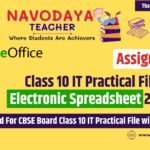 Class 10 IT Practical File on Electronic Spreadsheet 2024-25 (Assignment 5)